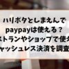 ハリポタとしまえんでの支払方法ペイペイは使える？ショップやレストランでキャッシュレス決済を使えるか調査！