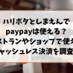 ハリポタとしまえんでの支払方法ペイペイは使える？ショップやレストランでキャッシュレス決済を使えるか調査！