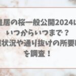 皇居の桜一般公開2024はいつからいつまで？混雑状況や通り抜けの所要時間を調査！