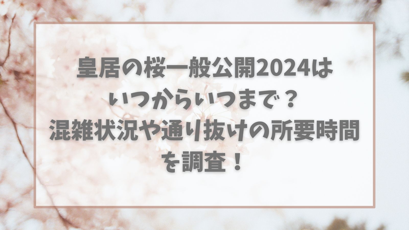 皇居の桜一般公開2024はいつからいつまで？混雑状況や通り抜けの所要時間を調査！