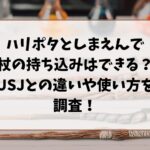 ハリポタとしまえんで杖の持ち込みはできる？USJとの違いや使い方を調査