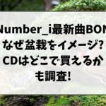 Number_i最新曲BONはなぜ盆栽をイメージ?CDはどこで買えるかも調査!