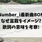ナンバーアイのBONの歌詞はなぜ盆栽をイメージ?歌詞の意味を考察!