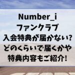 ナンバーアイの入会特典が届かない?どのくらいで届くかや特典内容もご紹介!