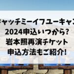 キャッチミーイフユーキャン2024申込いつから?岩本照再演チケット申込方法もご紹介!