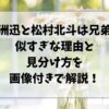 白洲迅と松村北斗は兄弟？似すぎな理由と見分け方を画像付きで解説！
