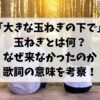 大きな玉ねぎの下での玉ねぎとは何？なぜ来なかったのか歌詞の意味を考察！