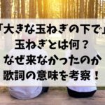 大きな玉ねぎの下での玉ねぎとは何？なぜ来なかったのか歌詞の意味を考察！