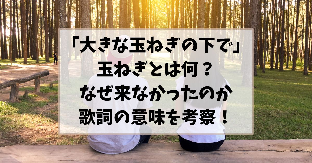 大きな玉ねぎの下での玉ねぎとは何？なぜ来なかったのか歌詞の意味を考察！
