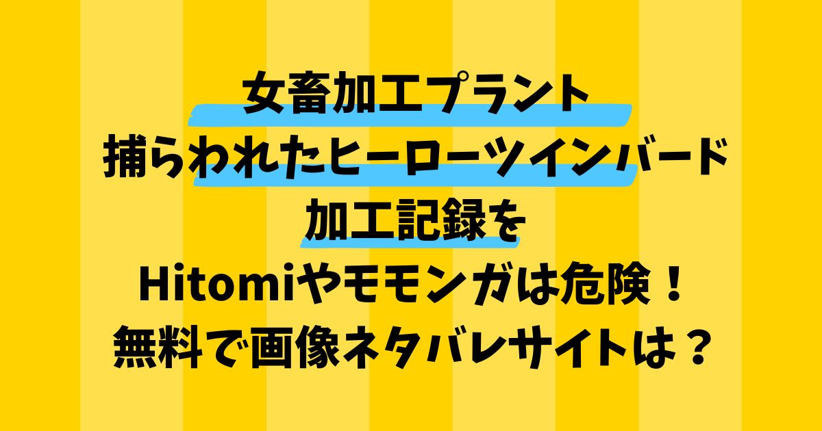 女畜加工プラント捕らわれたヒーロー・ツインバード加工記録をHitomiやモモンガで読むのは危険！無料で画像ネタバレできるサイトをご紹介！