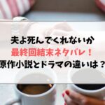 夫よ死んでくれないかの最終回結末ネタバレ！原作小説とドラマの違いは？