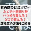 君の顔では泣けないムビチケ前売り券予約いつから？どこで買えるか座席の指定方法もご紹介！